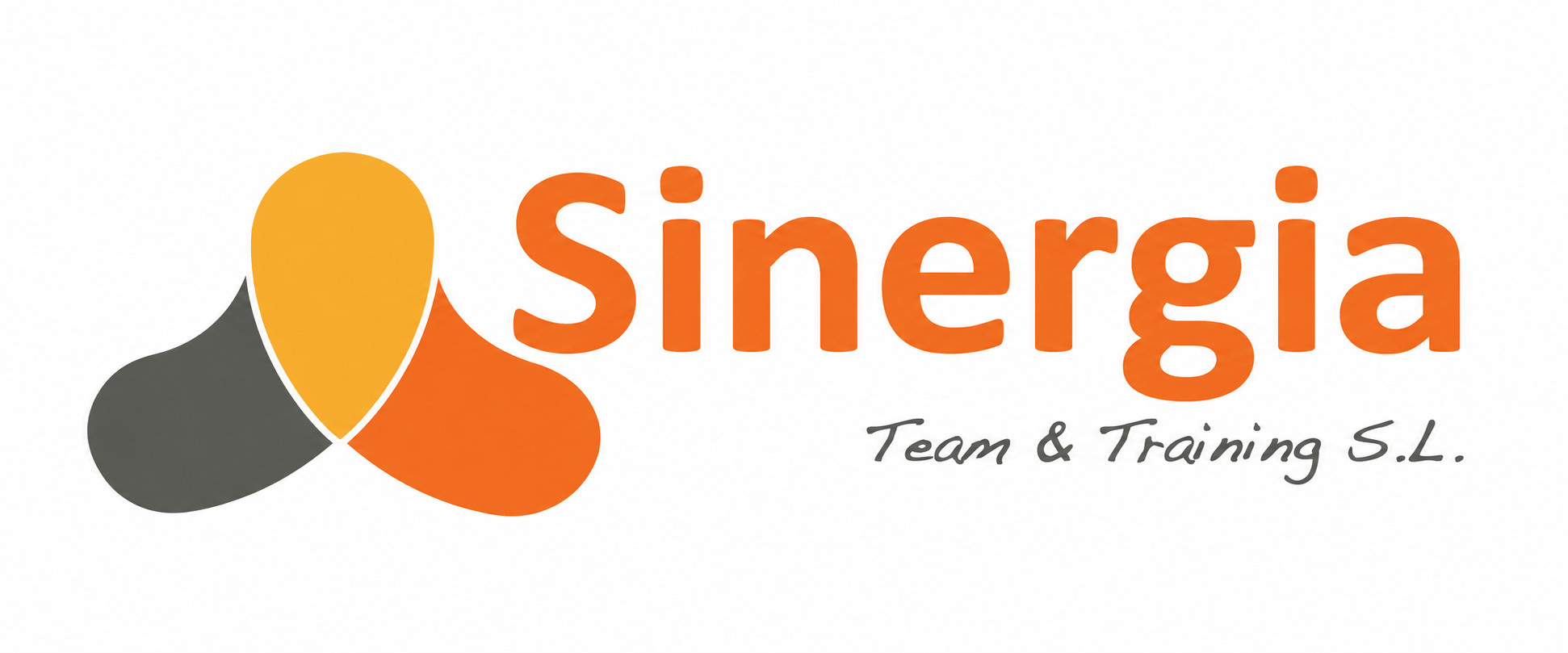 Sinergia Team & Training S.L.
